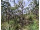 Lot/229 Murphy Road, Captain Creek QLD 4677