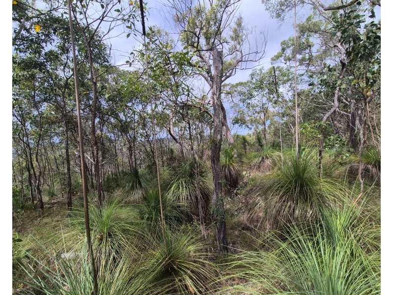 Lot/229 Murphy Road, Captain Creek QLD 4677