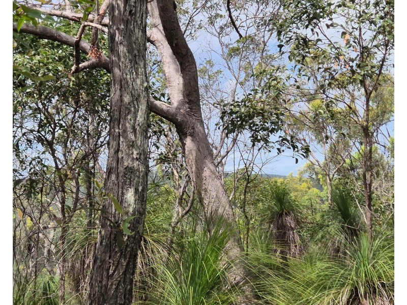 Lot/229 Murphy Road, Captain Creek QLD 4677