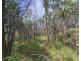 Lot/229 Murphy Road, Captain Creek QLD 4677