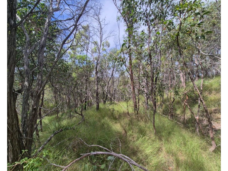 Lot/229 Murphy Road, Captain Creek QLD 4677