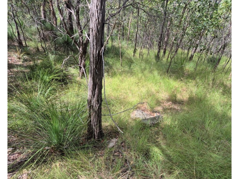 Lot/229 Murphy Road, Captain Creek QLD 4677