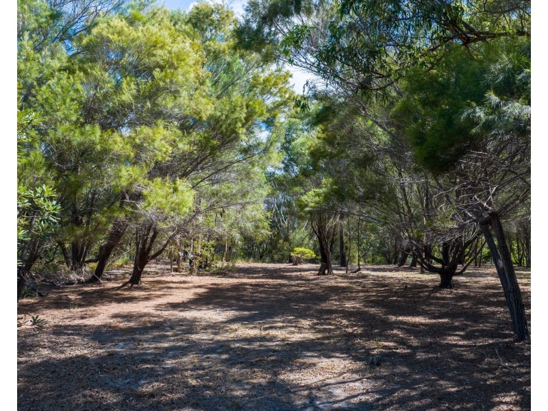 4 Bloodwood Avenue, Agnes Water QLD 4677