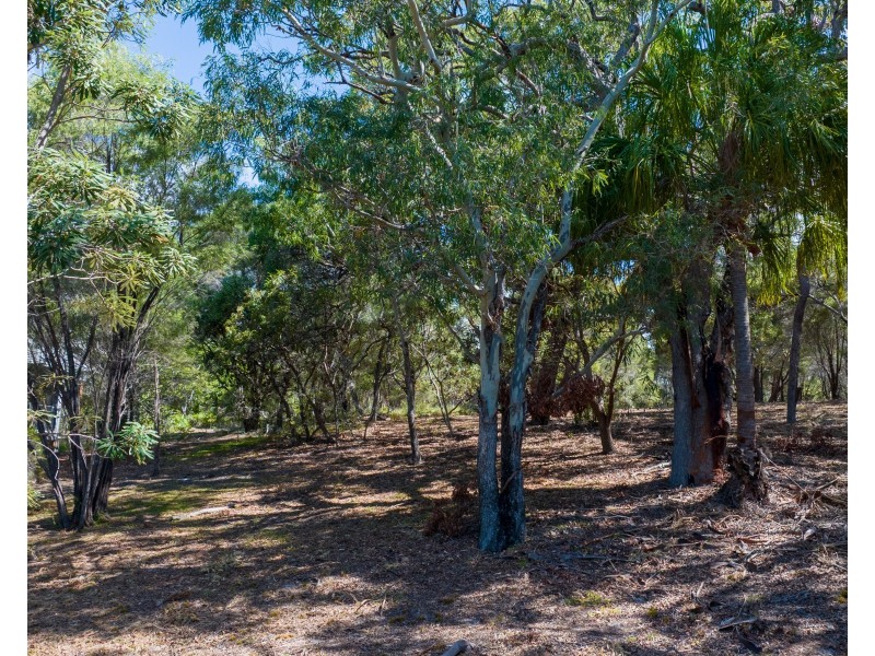 4 Bloodwood Avenue, Agnes Water QLD 4677