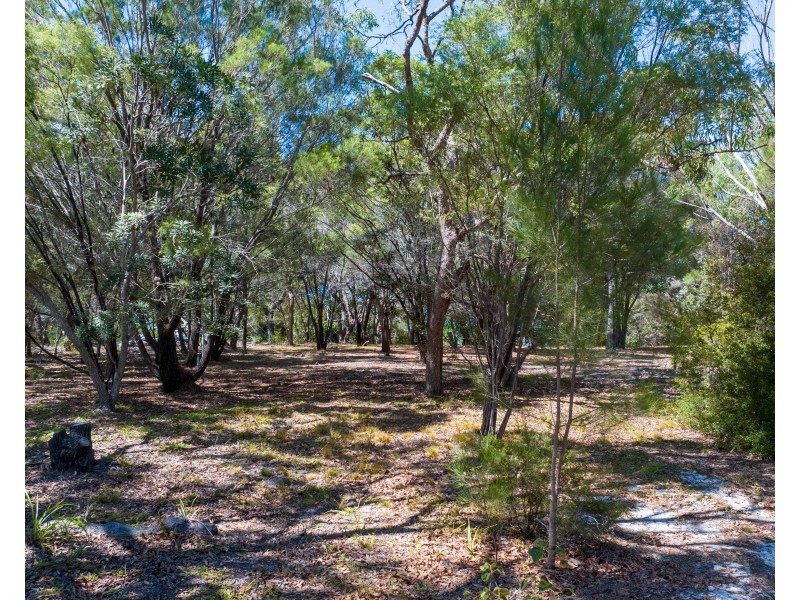 4 Bloodwood Avenue, Agnes Water QLD 4677