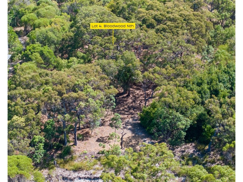 4 Bloodwood Avenue, Agnes Water QLD 4677