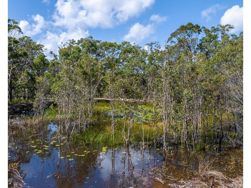 50 Jobson Road, Agnes Water QLD 4677