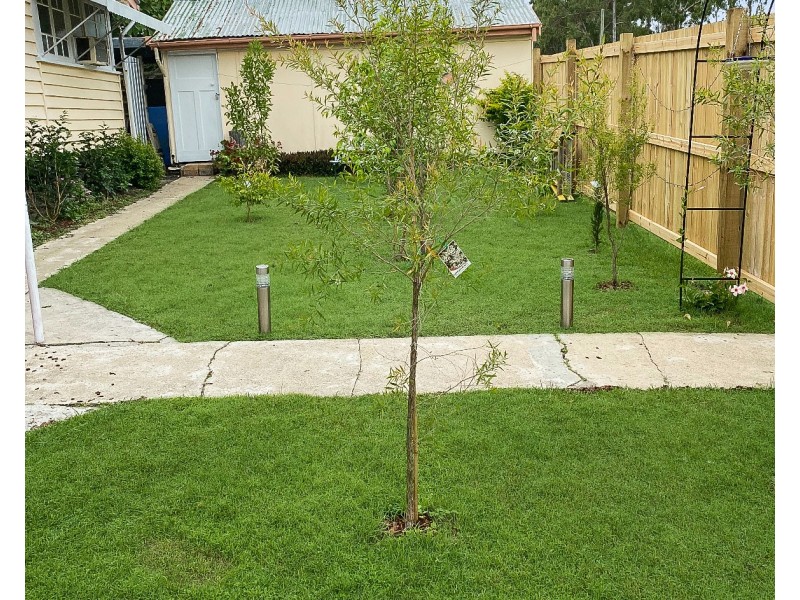 51 Blomfield Street, Miriam Vale QLD 4677