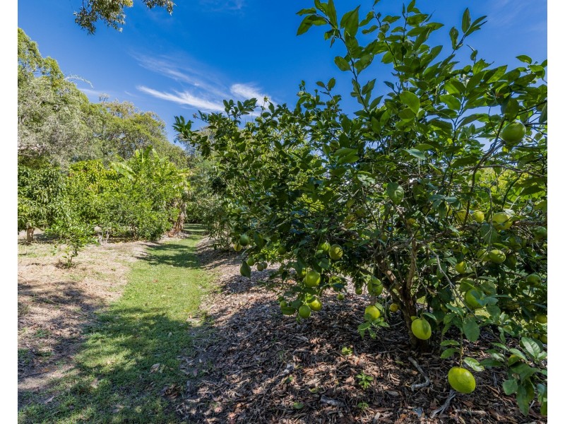 43 Streeter Drive, Agnes Water QLD 4677