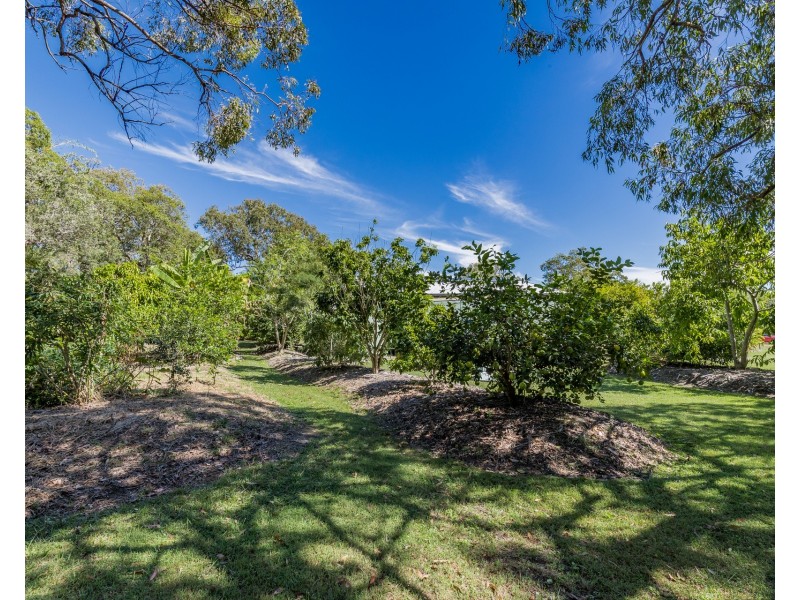 43 Streeter Drive, Agnes Water QLD 4677