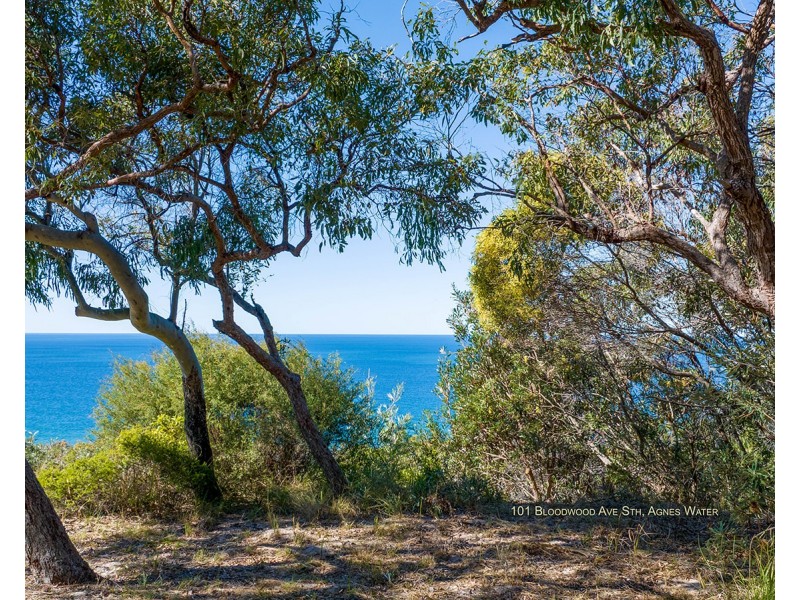 101 Bloodwood Avenue South, Agnes Water QLD 4677