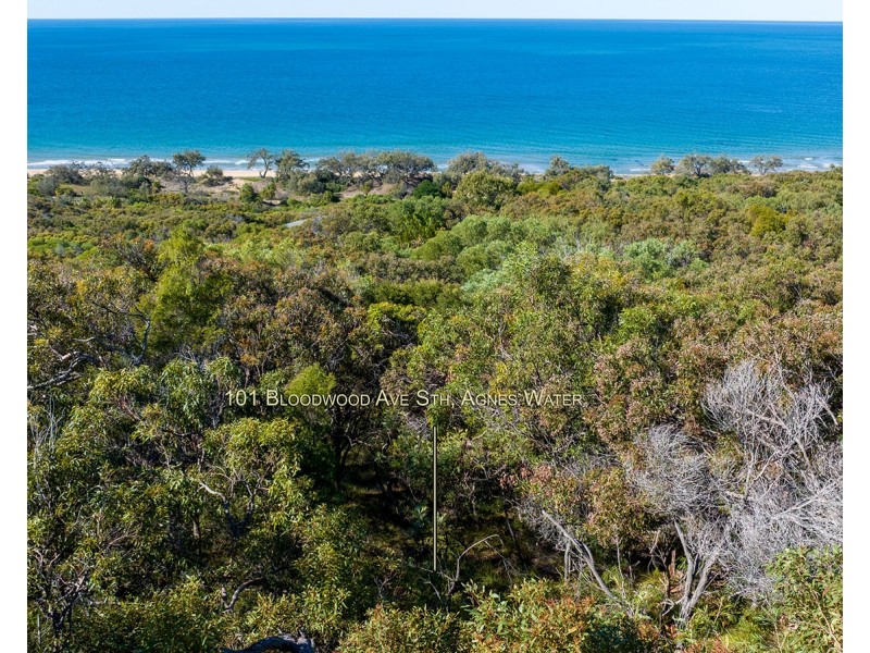 101 Bloodwood Avenue South, Agnes Water QLD 4677
