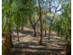 101 Bloodwood Avenue South, Agnes Water QLD 4677