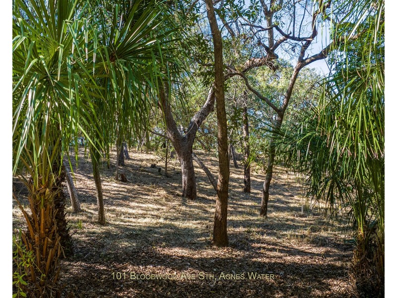 101 Bloodwood Avenue South, Agnes Water QLD 4677