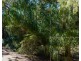 101 Bloodwood Avenue South, Agnes Water QLD 4677