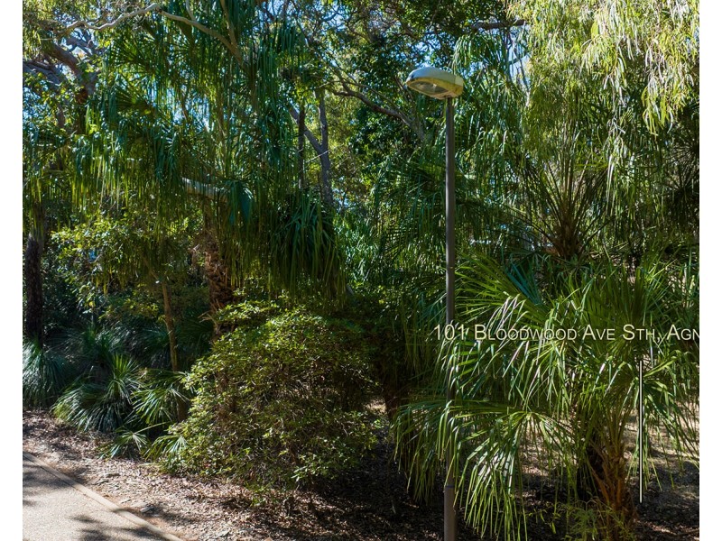 101 Bloodwood Avenue South, Agnes Water QLD 4677
