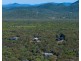 101 Bloodwood Avenue South, Agnes Water QLD 4677