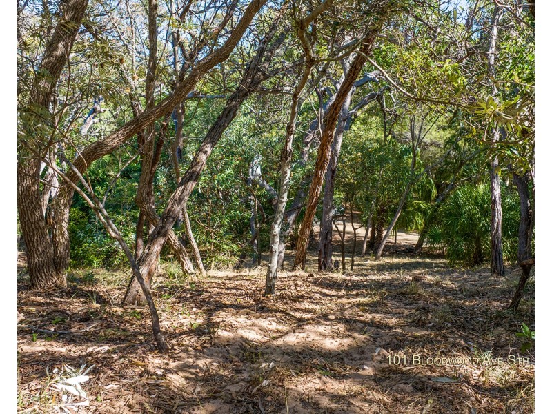 101 Bloodwood Avenue South, Agnes Water QLD 4677
