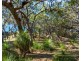 101 Bloodwood Avenue South, Agnes Water QLD 4677