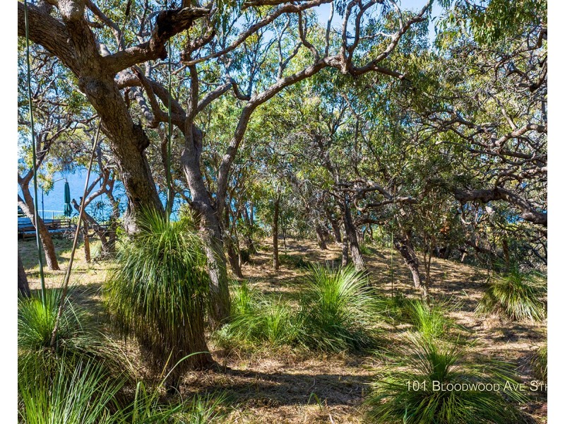 101 Bloodwood Avenue South, Agnes Water QLD 4677