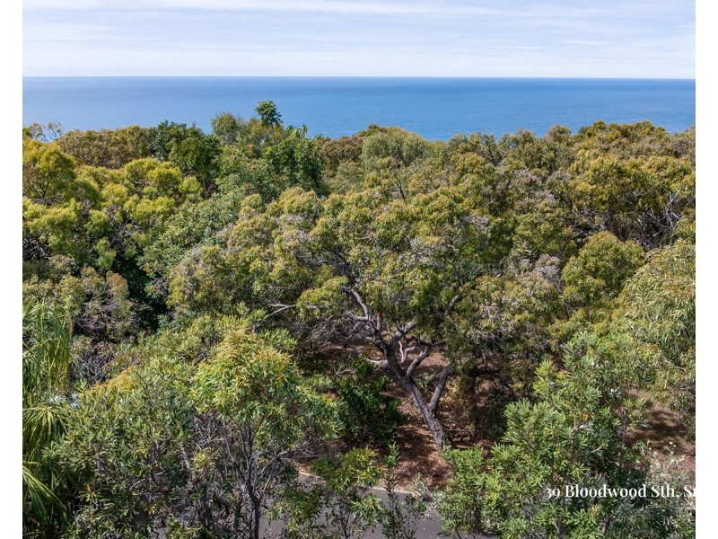 39 Bloodwood Avenue South, Agnes Water QLD 4677