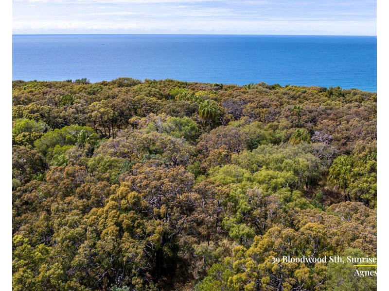 39 Bloodwood Avenue South, Agnes Water QLD 4677