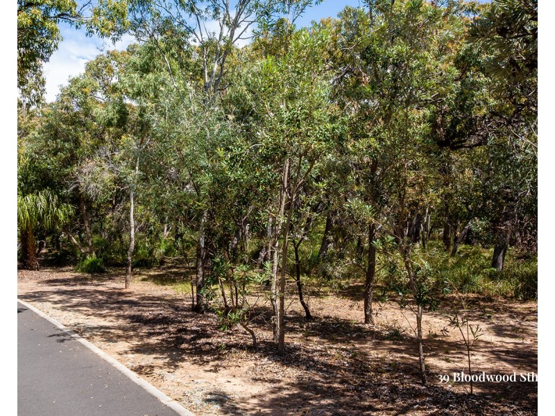 39 Bloodwood Avenue South, Agnes Water QLD 4677