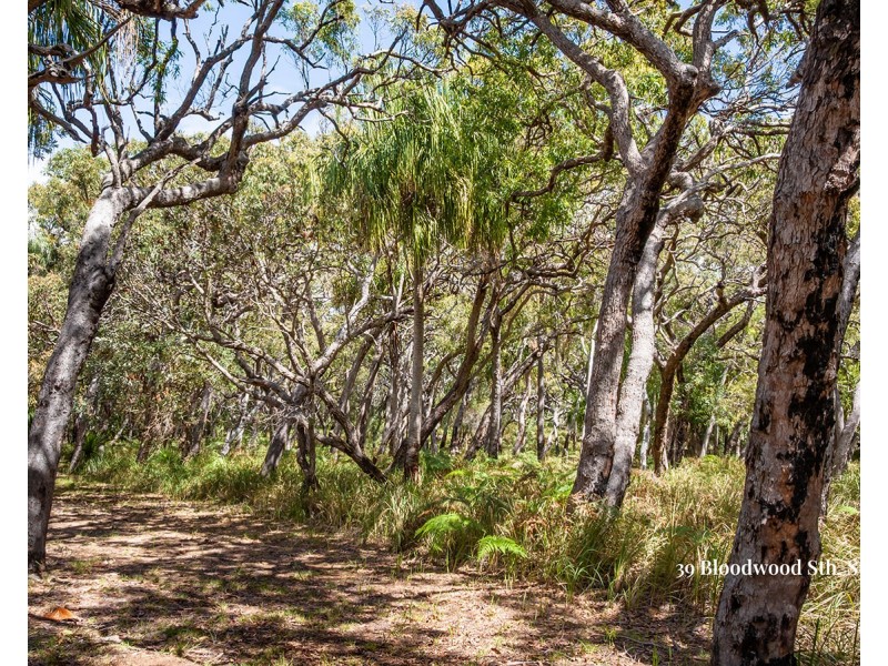 39 Bloodwood Avenue South, Agnes Water QLD 4677