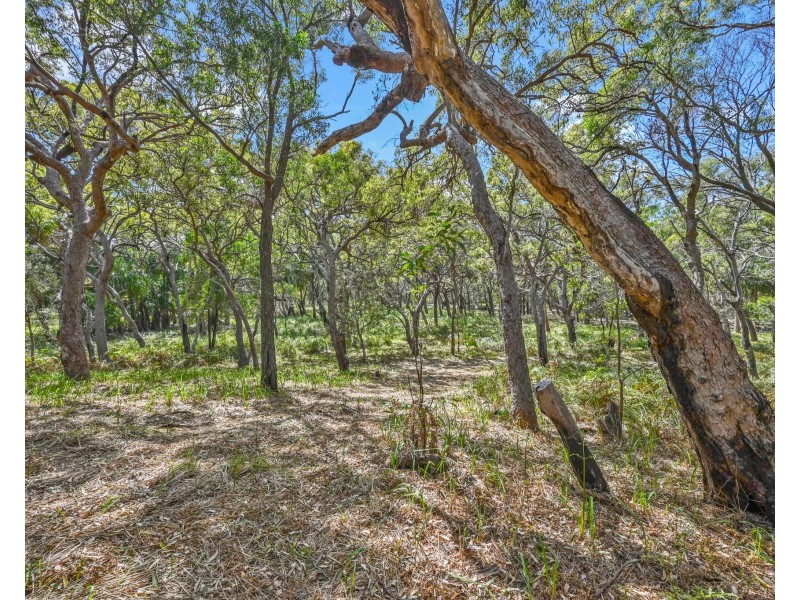 76 Bloodwood Avenue South, Agnes Water QLD 4677