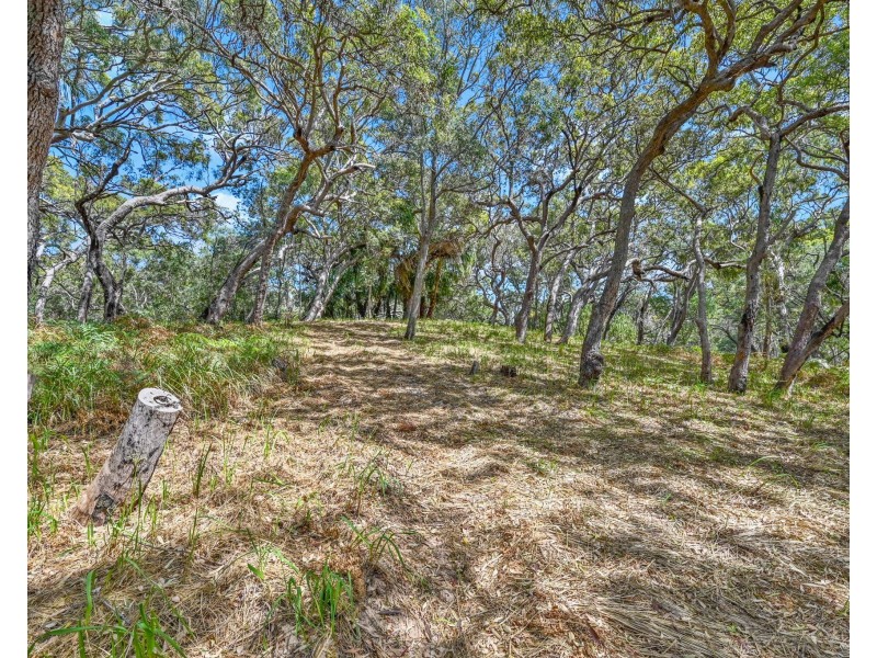 76 Bloodwood Avenue South, Agnes Water QLD 4677