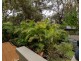 5 Palm Court, Agnes Water QLD 4677