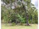 151 Baldaw Road, Captain Creek QLD 4677