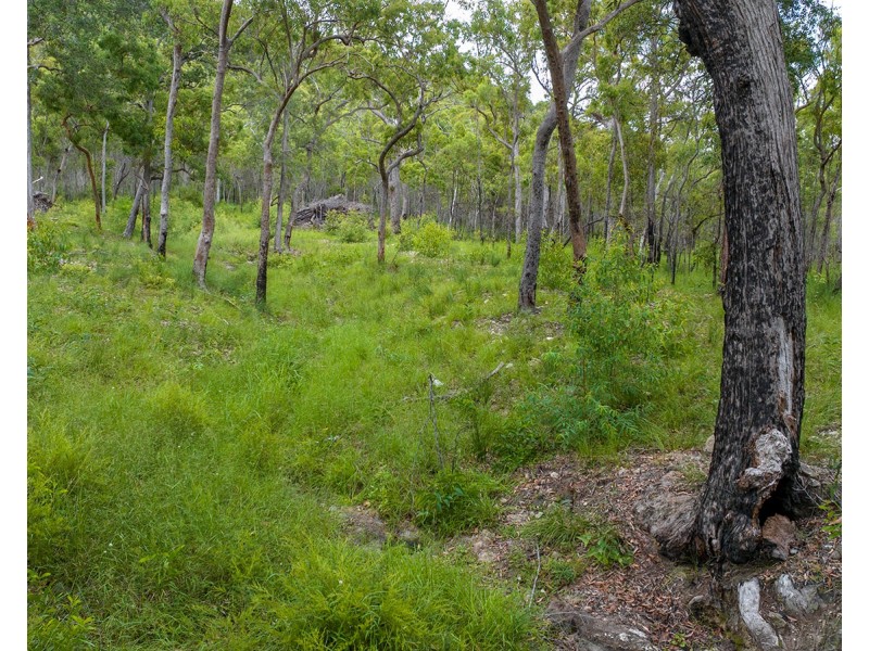 151 Baldaw Road, Captain Creek QLD 4677
