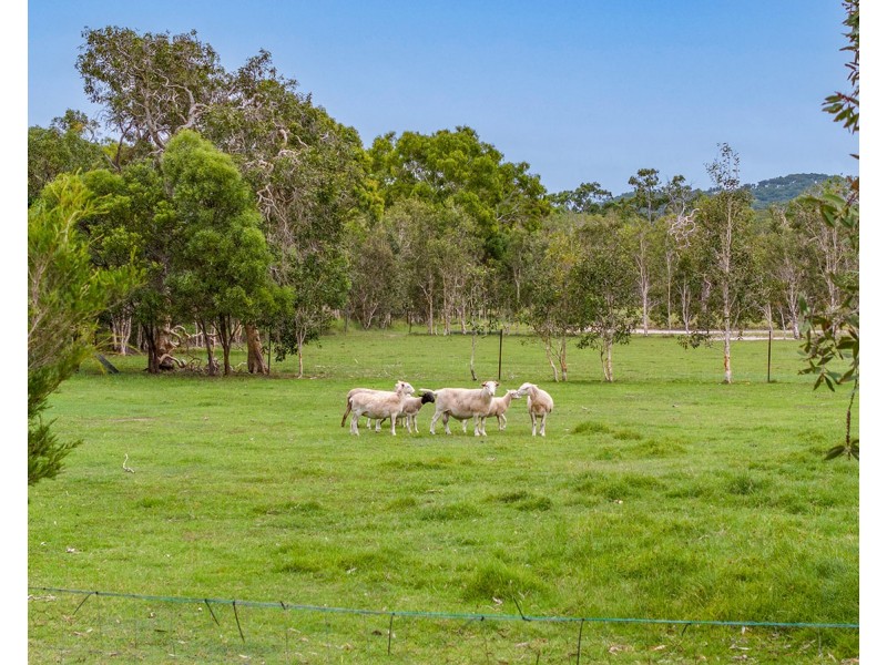 72 Streeter Drive, Agnes Water QLD 4677