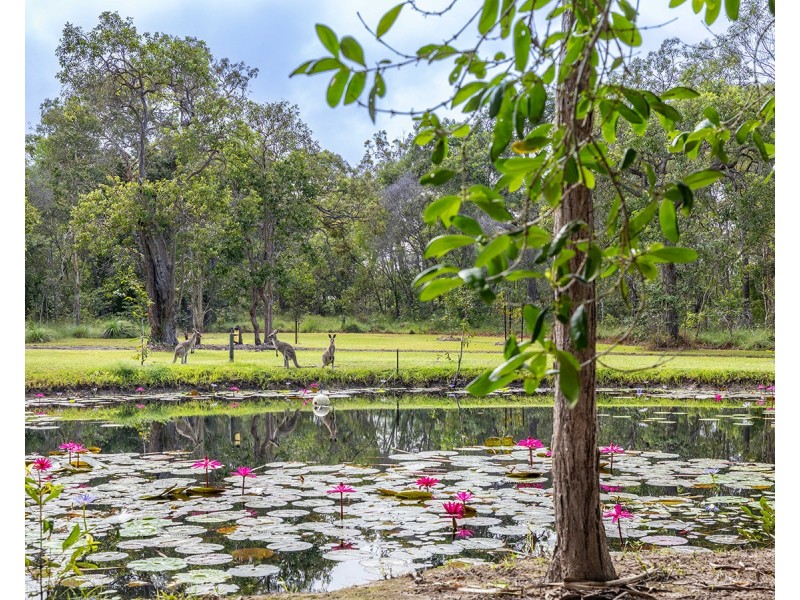 77 Mary Munro Crescent, Agnes Water QLD 4677