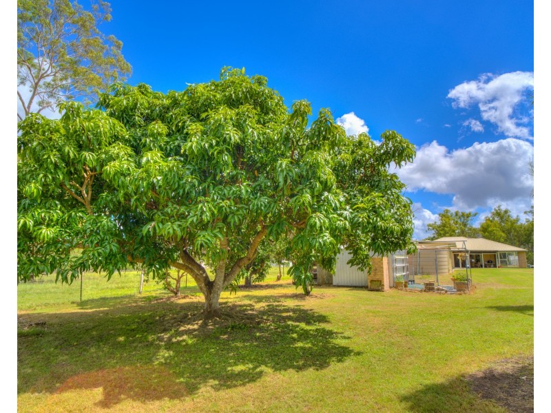1382 Fingerboard Road, Mount Tom QLD 4677
