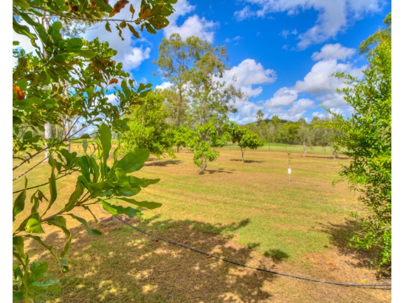 1382 Fingerboard Road, Mount Tom QLD 4677