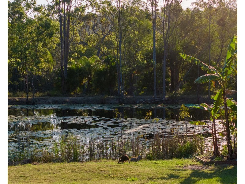 Captain Creek QLD 4677