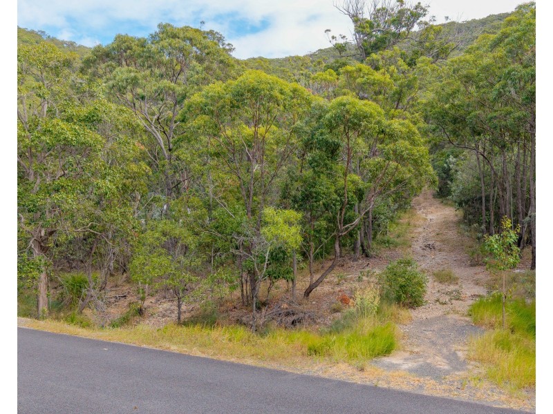156 Josefski Road, Agnes Water QLD 4677