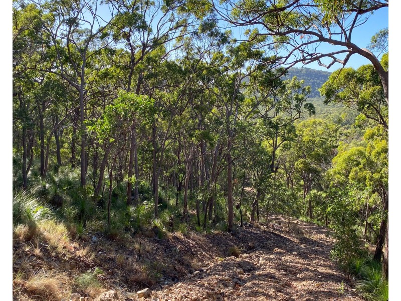 156 Josefski Road, Agnes Water QLD 4677