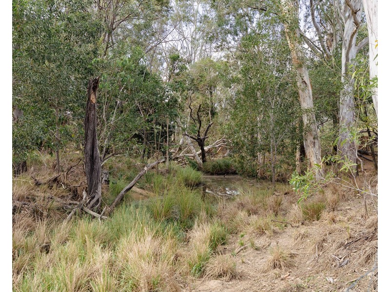 190 Tableland Road, Taunton QLD 4674