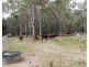 190 Tableland Road, Taunton QLD 4674