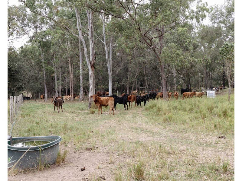 190 Tableland Road, Taunton QLD 4674