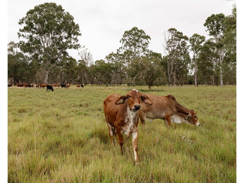 190 Tableland Road, Taunton QLD 4674
