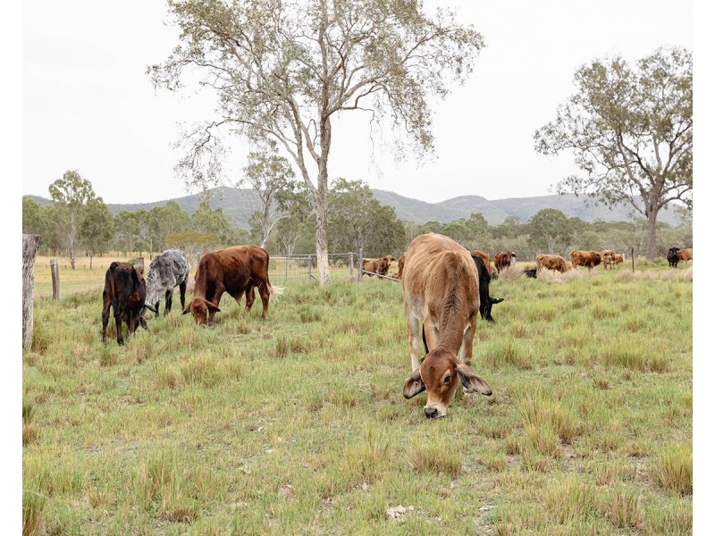 190 Tableland Road, Taunton QLD 4674