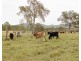190 Tableland Road, Taunton QLD 4674