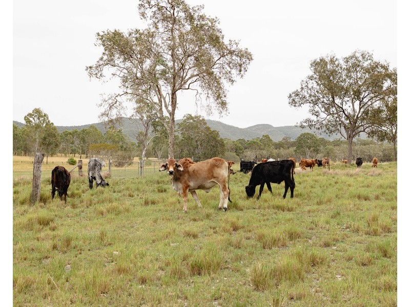 190 Tableland Road, Taunton QLD 4674