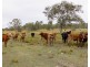 190 Tableland Road, Taunton QLD 4674