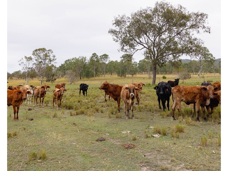 190 Tableland Road, Taunton QLD 4674