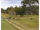 190 Tableland Road, Taunton QLD 4674